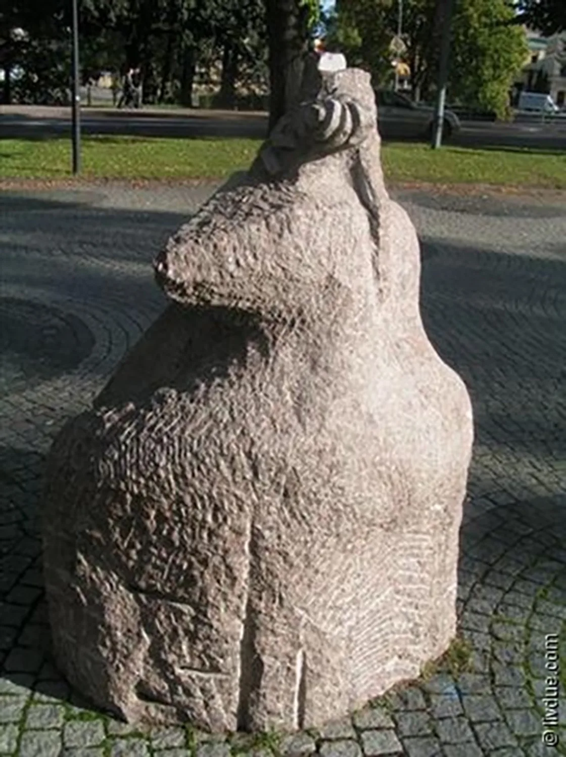 CellistBack