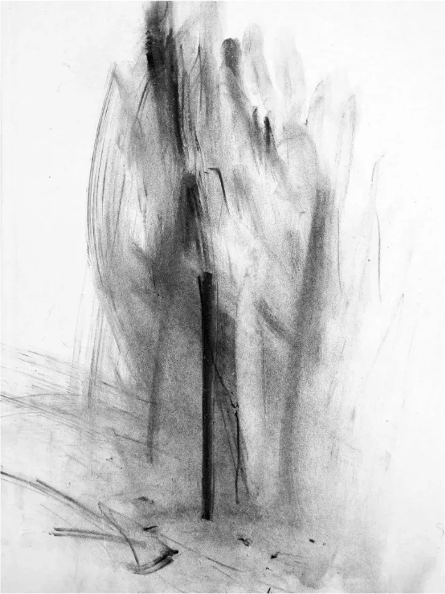 Charcoal drawing