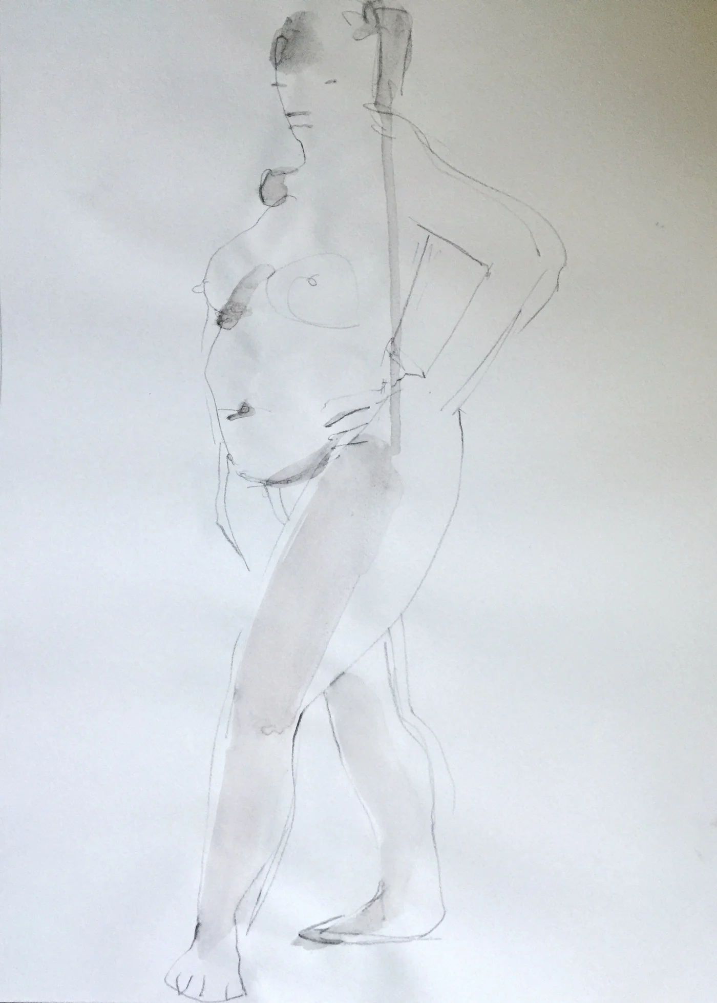 Model