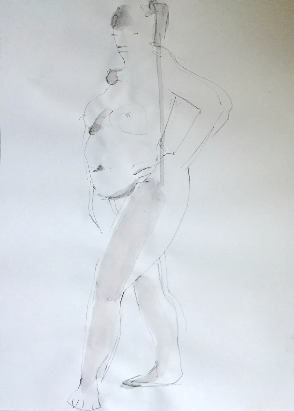 Model