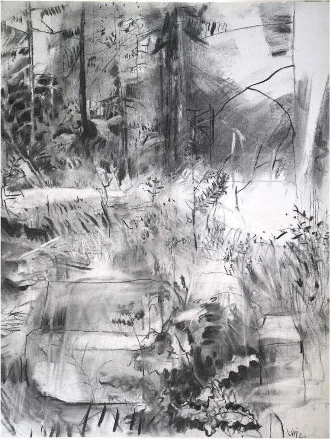 Charcoal drawing of a forest